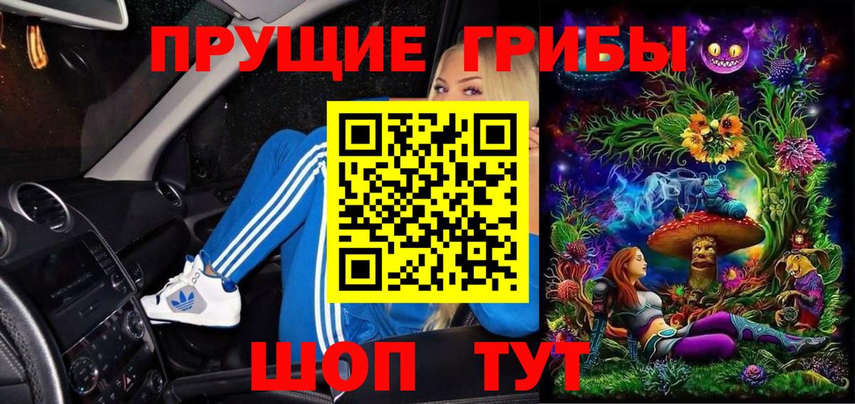 Псилоцибиновые грибы Cubensis Майкоп